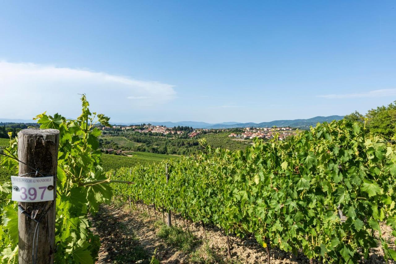 Tenuta Poggio ai Mandorli Greve in Chianti Bagian luar foto
